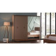 Шкаф-купе Алвис (ALVIS) ALVIS-19